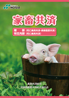 家畜共済 種豚・特定肉豚